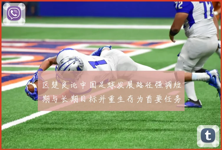 区楚良论中国足球发展路径强调短期与长期目标并重生存为首要任务