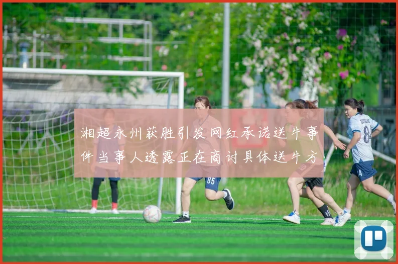 湘超永州获胜引发网红承诺送牛事件当事人透露正在商讨具体送牛方案