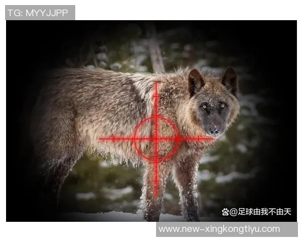 狼队主帅佩雷拉面临行为不当指控需在十月十三日前回应